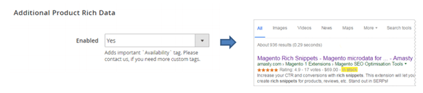 Microdata Setup in Magento Websites
