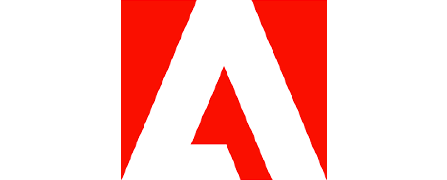 Implementation Partner